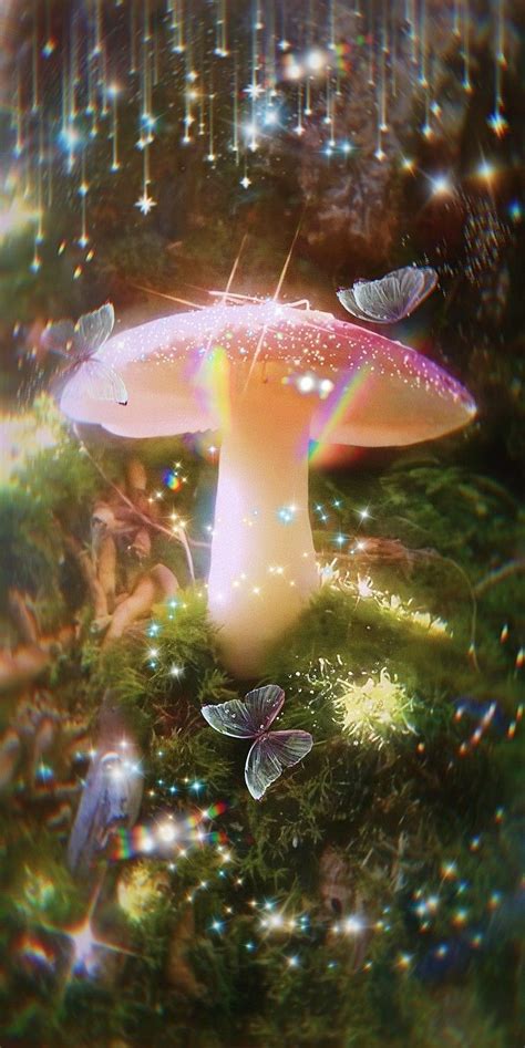 Mushroom wallpaper aesthetic - Tons of awesome cute aesthetic mushroom wallpapers to download for free. You can also upload and share your favorite cute aesthetic mushroom wallpapers. HD wallpapers …